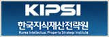 íêµ­ì§ìì¬ì°ì ëµì (KIPSI)